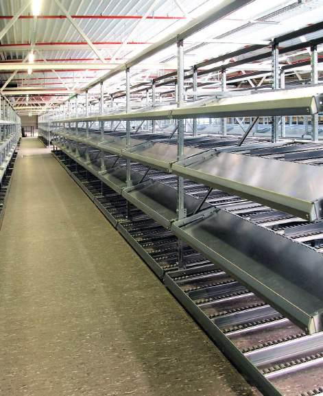 PRORACK+ Dynamic Flow Racking - 3